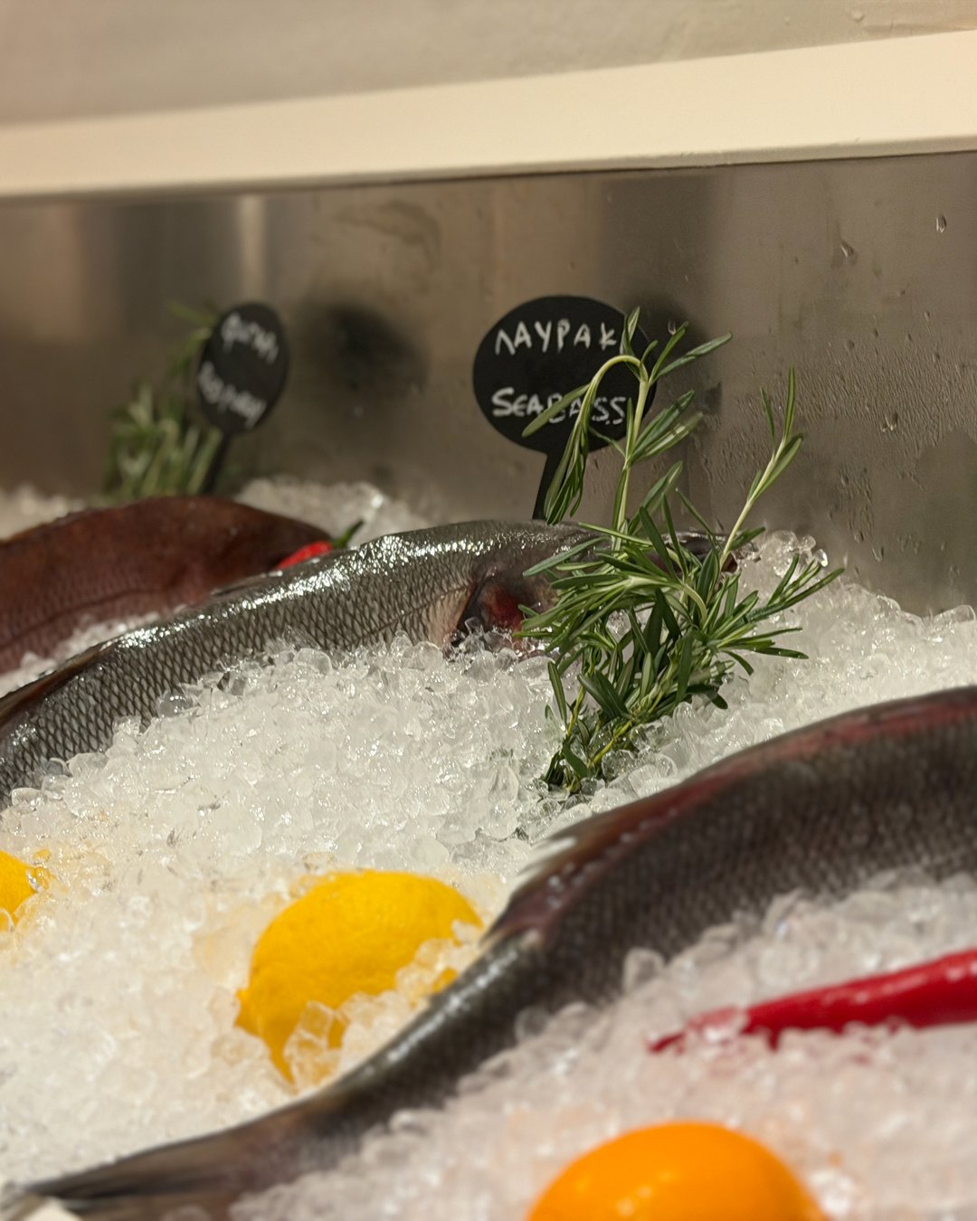 Aegean Fresh Catch Display at Bakalaki